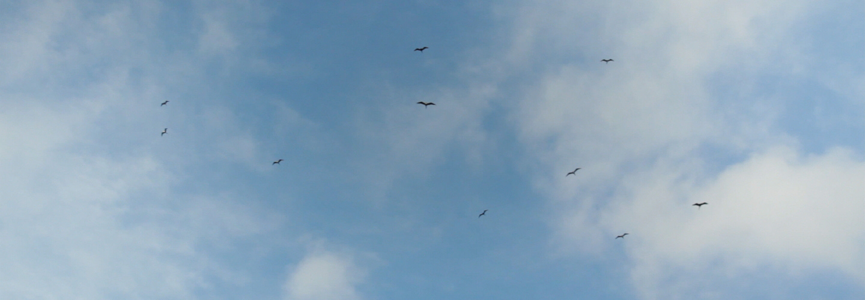 Image without a name